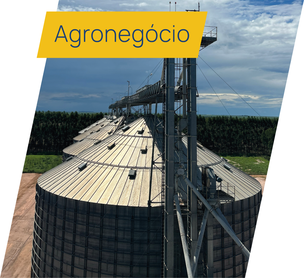 Agronegócio MAX - Maxbelt Correias Transportadoras